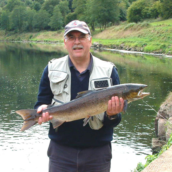 10lb Salmon